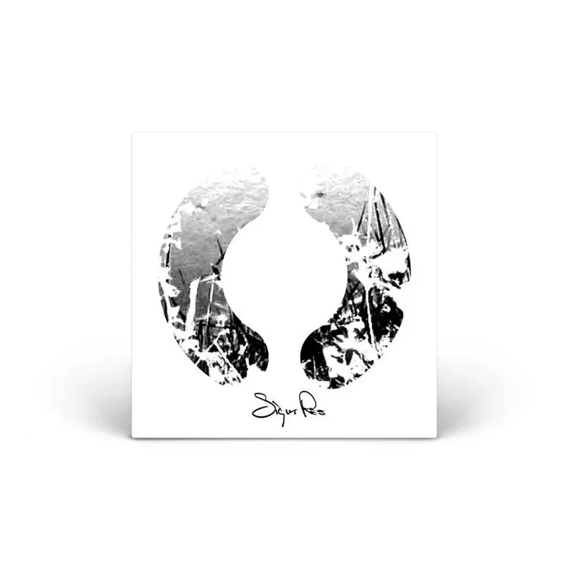 ( ) vinyl 2LP